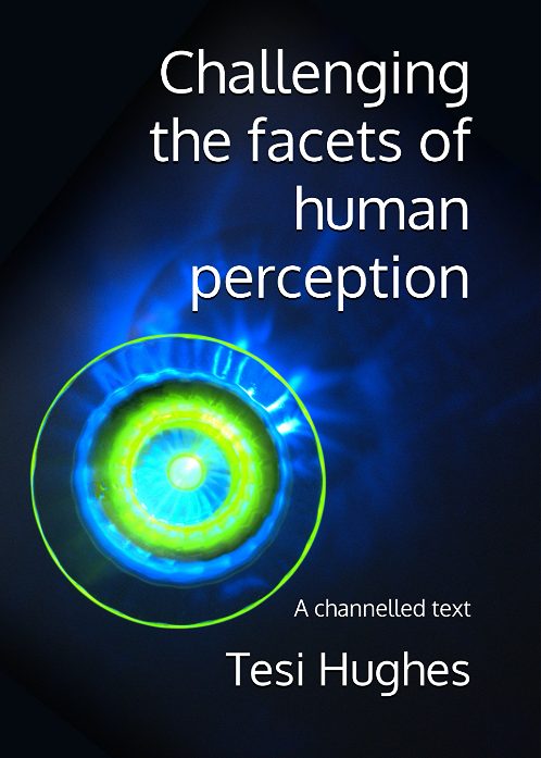 Book cover titled "Challenging the Facets of Human Perception" by Tesi Hughes with abstract design.